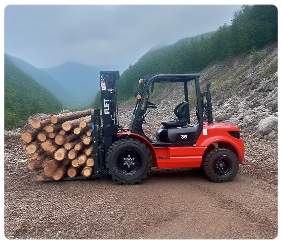 2WD rough terrain forklift diesel